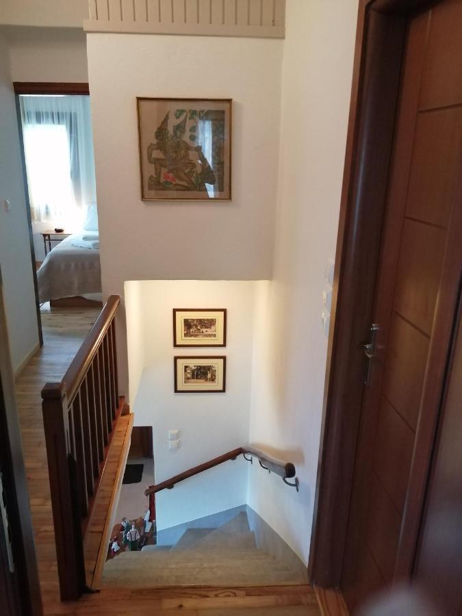 Villa Delux House In Tsangarada à Tsagkarada Extérieur photo
