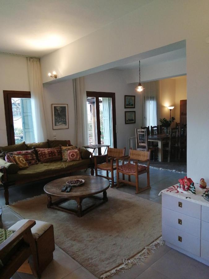 Villa Delux House In Tsangarada à Tsagkarada Extérieur photo