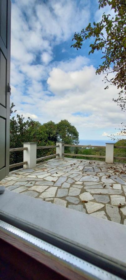 Villa Delux House In Tsangarada à Tsagkarada Extérieur photo
