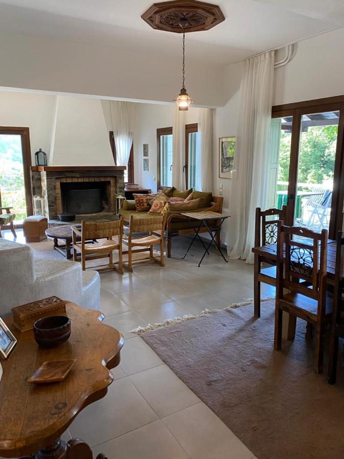 Villa Delux House In Tsangarada à Tsagkarada Extérieur photo