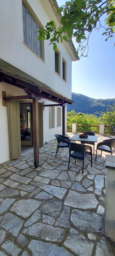 Villa Delux House In Tsangarada à Tsagkarada Extérieur photo