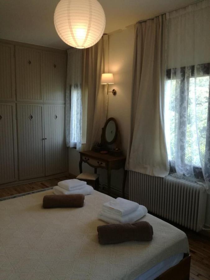 Villa Delux House In Tsangarada à Tsagkarada Extérieur photo