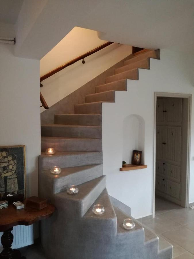 Villa Delux House In Tsangarada à Tsagkarada Extérieur photo