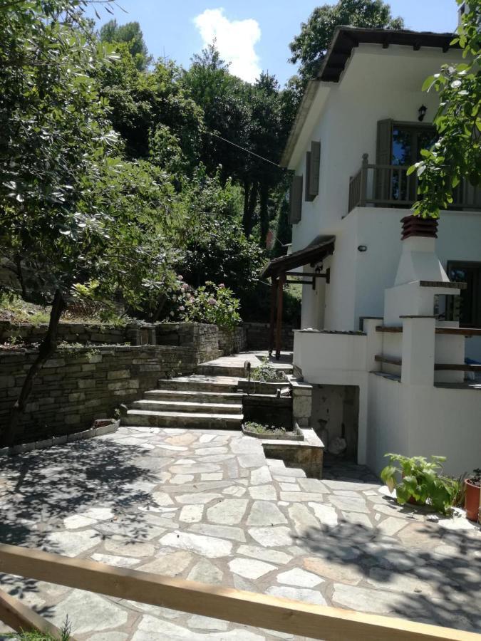 Villa Delux House In Tsangarada à Tsagkarada Extérieur photo