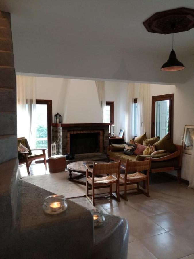 Villa Delux House In Tsangarada à Tsagkarada Extérieur photo
