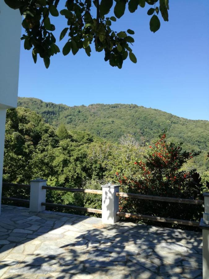 Villa Delux House In Tsangarada à Tsagkarada Extérieur photo