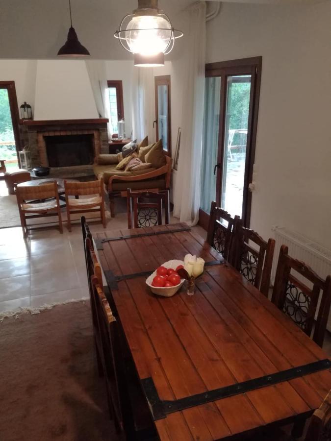 Villa Delux House In Tsangarada à Tsagkarada Extérieur photo