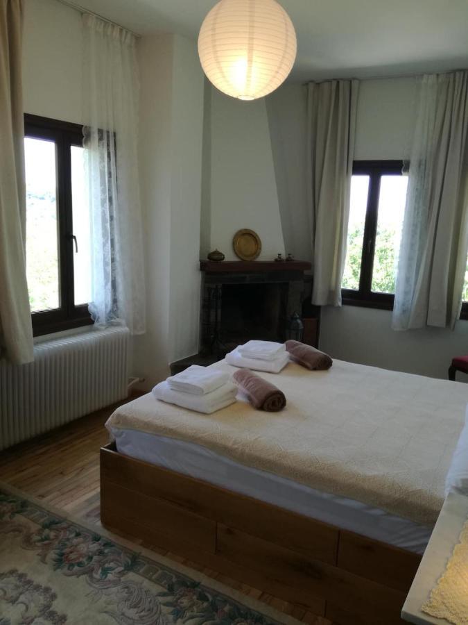 Villa Delux House In Tsangarada à Tsagkarada Extérieur photo
